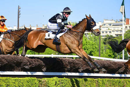 Actualités Hippiques